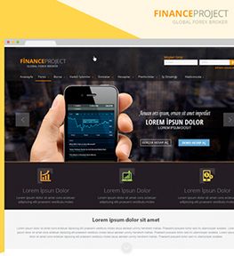 Finance Project