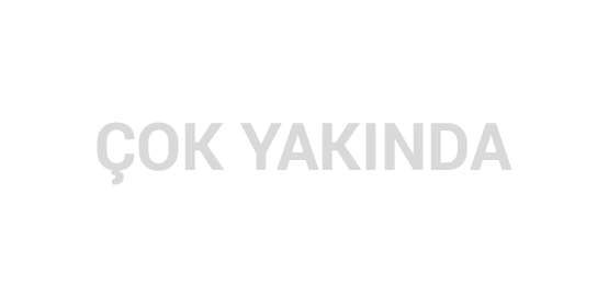 seo programı